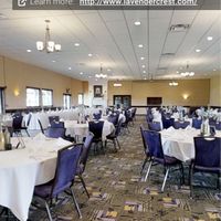 Vineyard Wedding Decor Help - 1