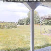 Vineyard Wedding Decor Help - 4