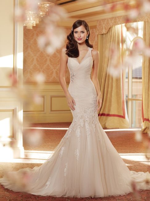 Update on the dress I ordered without trying it on.