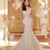 Update on the dress I ordered without trying it on.