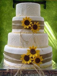 What did your cake look like? OR What will it look like?