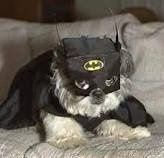 Friday Fun Picture Post