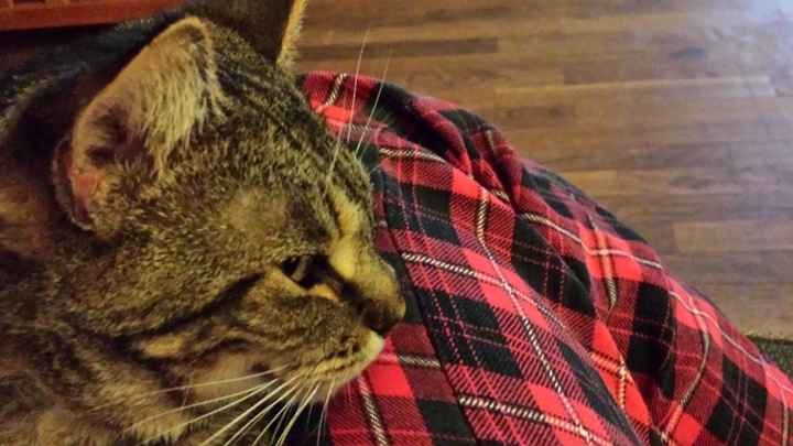 NWR: Pics of your pets :)