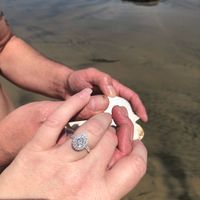 Did you pick your ring or were you completely surprised? - 1