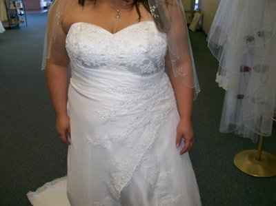 Plus size brides you're help is needed