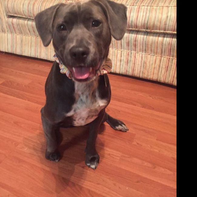NWR: Show me your fur babies