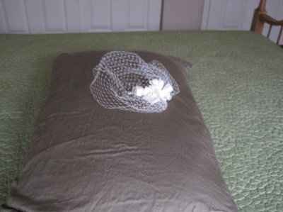 birdcage veil?