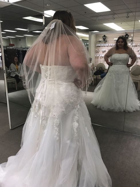 Which one!?! - UPDATE