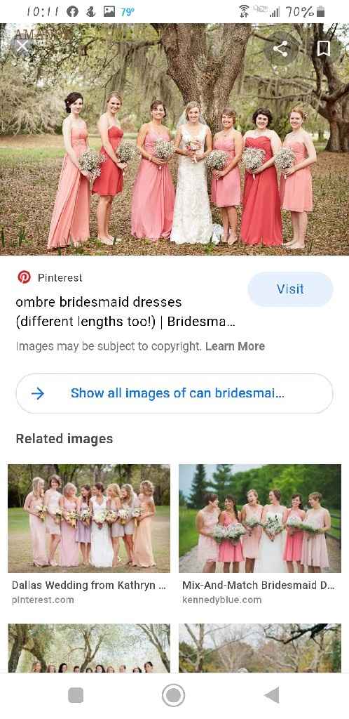 Bridesmaids dresses - 1