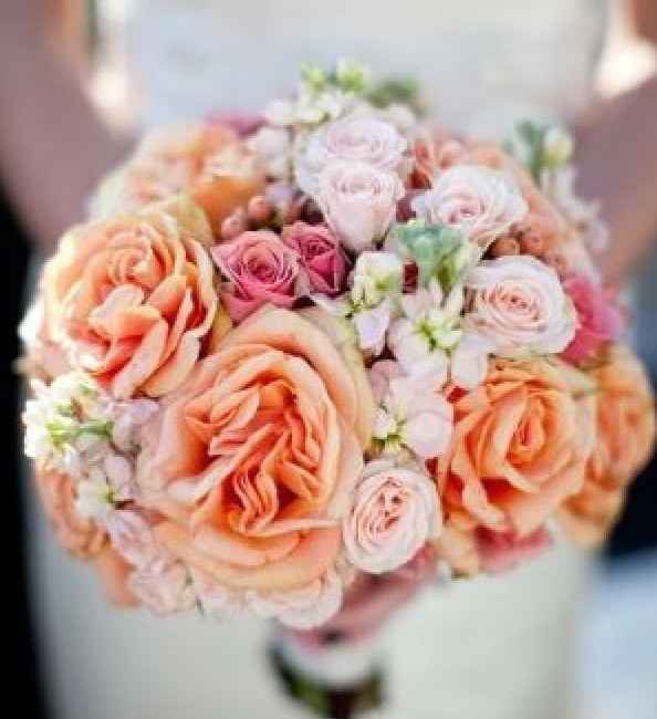 Ladies I wanna see your.....