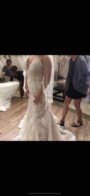 Torn between two dresses - 2