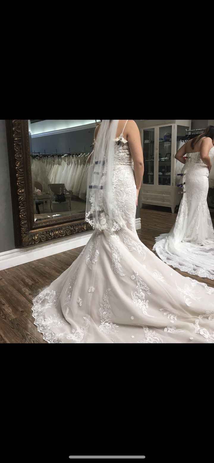 Torn between two dresses - 4