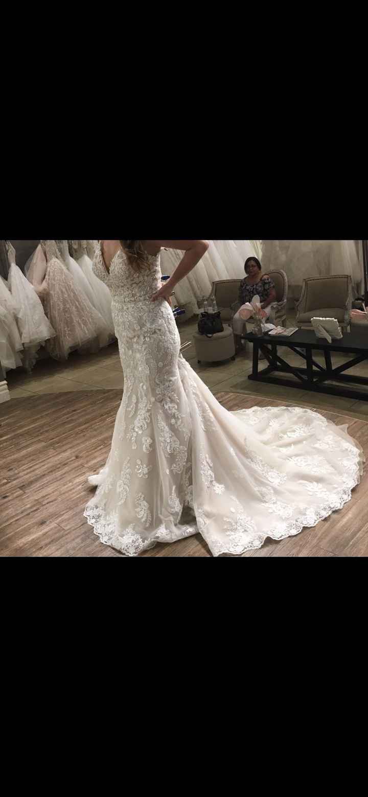 Torn between two dresses - 5