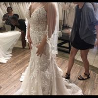 Torn between two dresses - 2