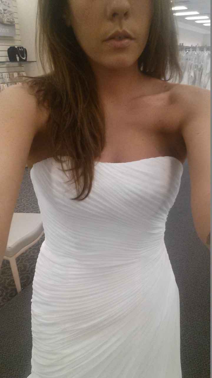 I found my dress! (pics)