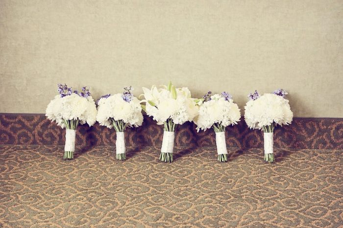 Pro Pics!! (PIC HEAVY!!!)