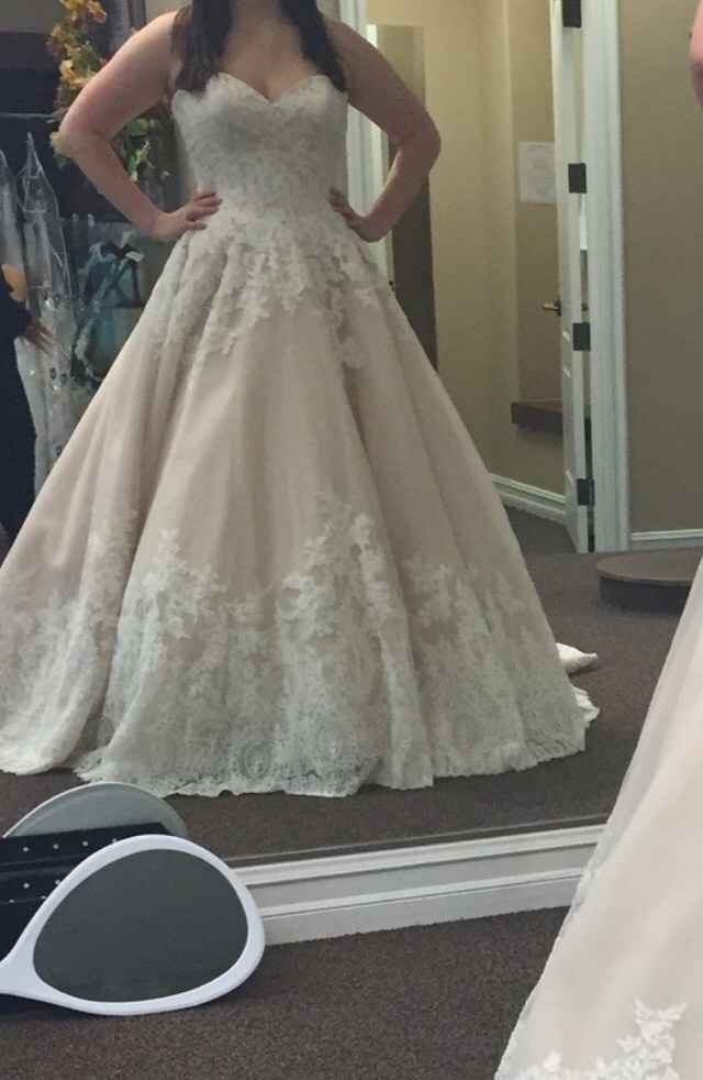 I said yes to the dress!!!!!