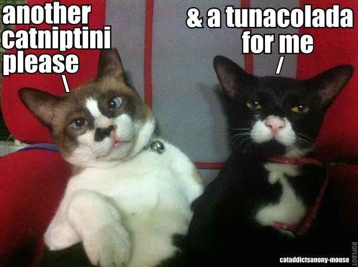 Spinoff - Cat wedding!