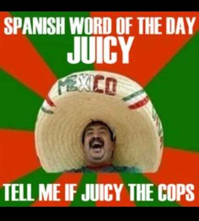 WW: Please welcome, Tickled Tuesday!