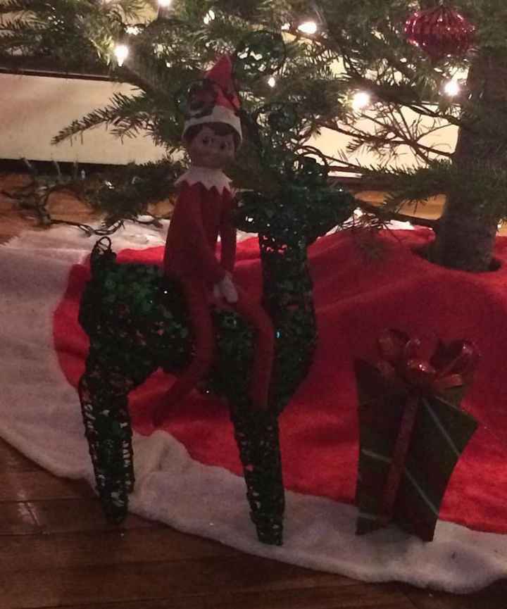 NWR: Show me your Christmas Trees, Hanukkah decor, or any other holiday stuff you put out!!