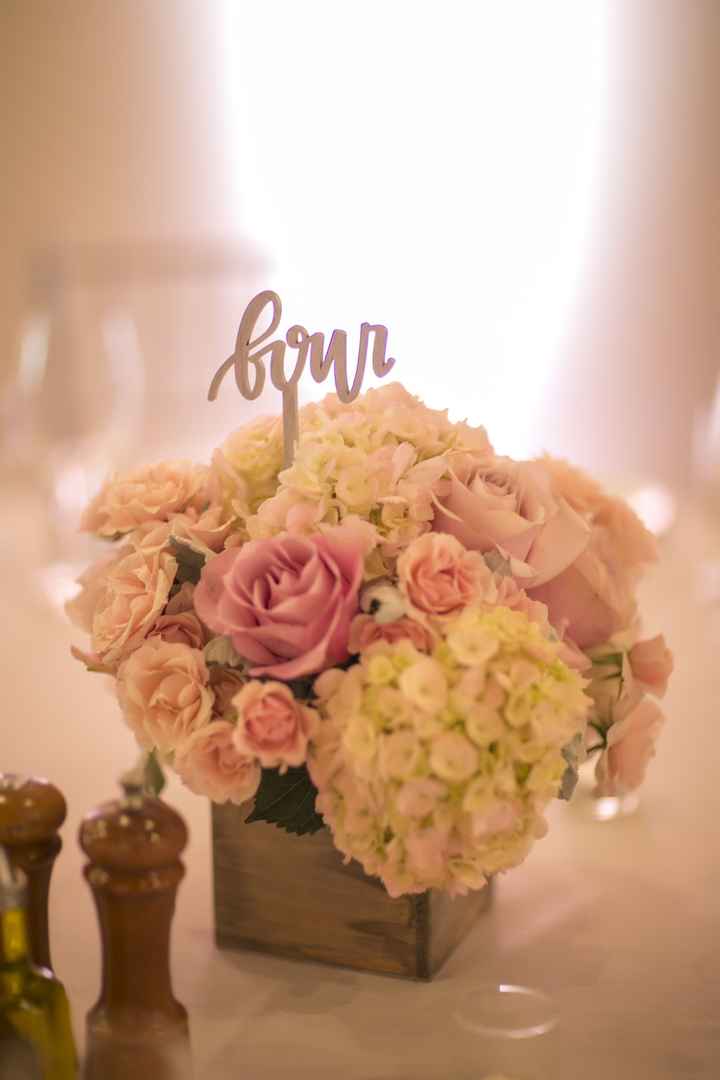 BAM with PRO Pics!!!