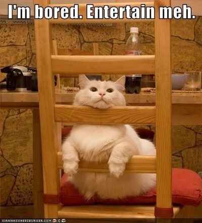 It's been a while...Tickled Tuesday!!!
