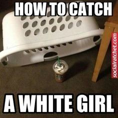 Bc I am a basic white bitch.