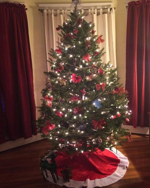 NWR: Show me your Christmas Trees, Hanukkah decor, or any other holiday stuff you put out!!