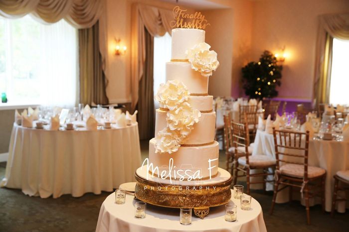 CAKE CAKE CAKE