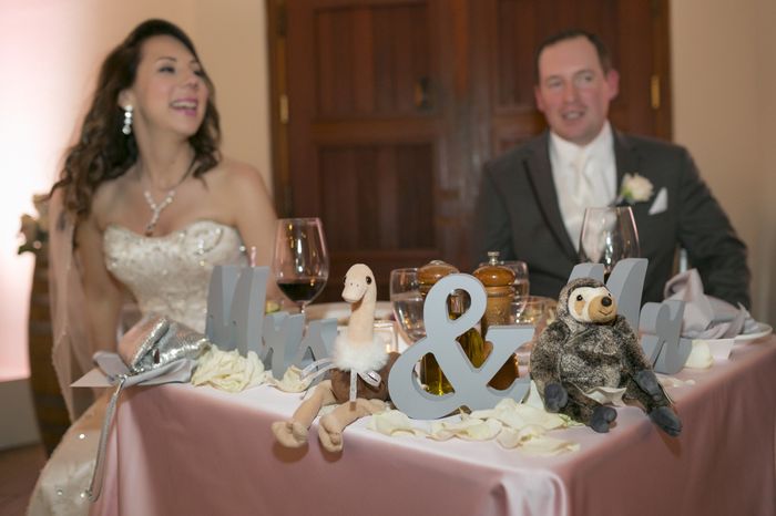 BAM with PRO Pics!!!