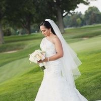 Cheap Veils that actually look nice!