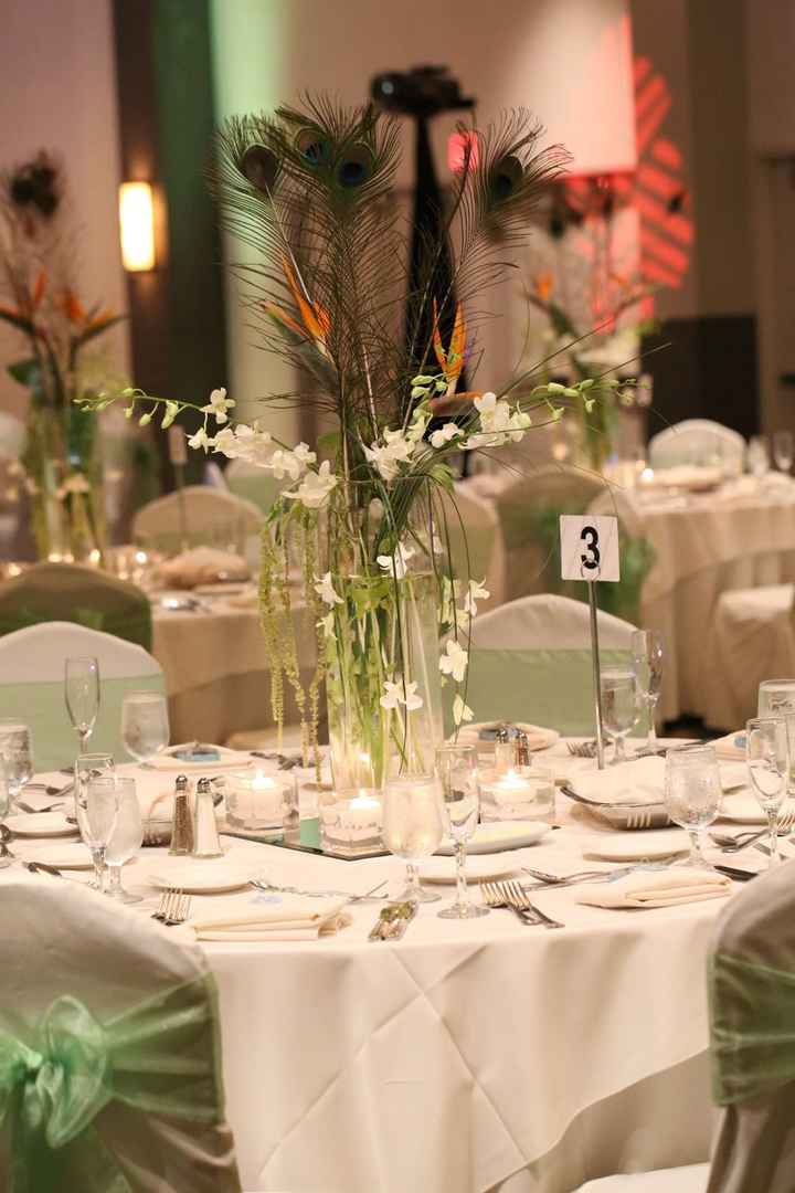 Long overdue sharing of my photos, some of you may not even remember me, pics and advice!