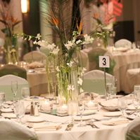 Long overdue sharing of my photos, some of you may not even remember me, pics and advice!