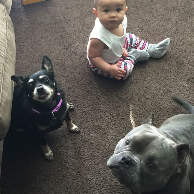 NWR- My fur kids