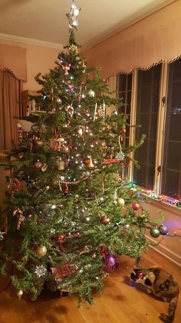 NWR: Christmas Tree