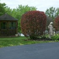 VENUE - SHOW ME YOUR'S - *PIC HEAVY*