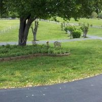 VENUE - SHOW ME YOUR'S - *PIC HEAVY*