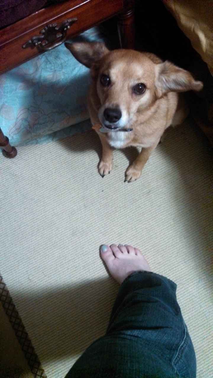 NWR: Happy Furry Fursday, let's see them fur babies!