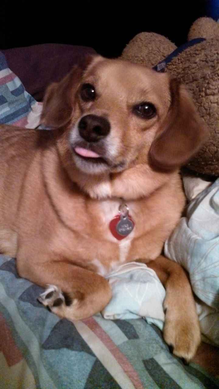NWR Happy Fursday!!!
