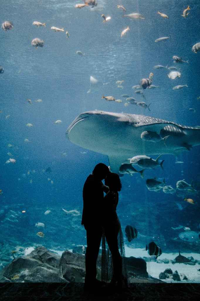 Show me your engagement photos! - 2