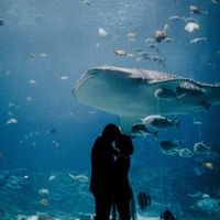 Show me your engagement photos! - 2