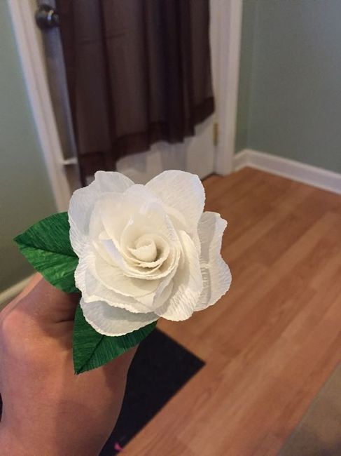 Crafty a/f