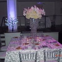 what are your wedding colors?