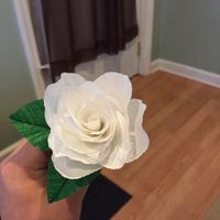 Crafty a/f
