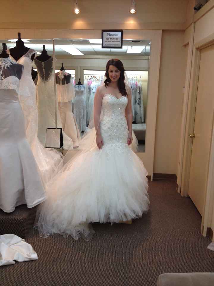 My Dress Came In!! *Picures*