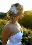 Hair Accessory -- Shoppers, I need your help!