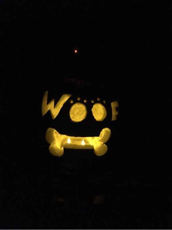 NWR: Cannon wants to share his pumpkin!