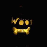 NWR: Cannon wants to share his pumpkin!