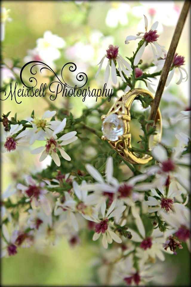 E Pics Preview Came!