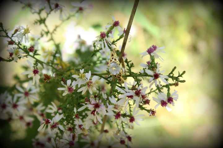 Lets see those E-Rings and Wedding Rings!
